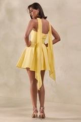 Bruna | Lemon Bandeau Skater Mini Dress