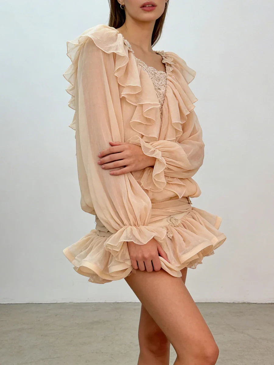 Ruffles Long Sleeve Mesh Mini Dress
