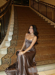 Simple Brown Spaghetti Straps A Line Prom Dress Party Dress SH1379