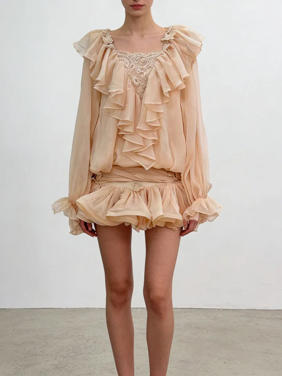 Ruffles Long Sleeve Mesh Mini Dress